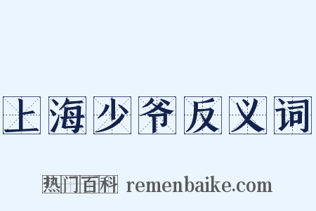 上海少爷反义词是什么意思的图片